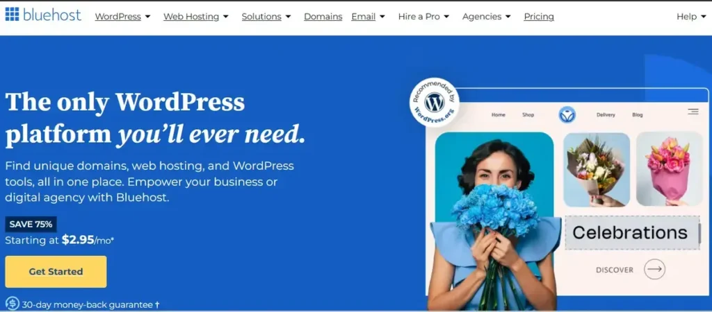 Bluehost Website