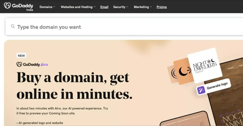 GoDaddy Website