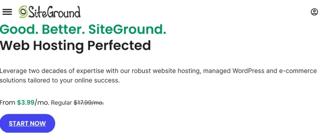 SiteGround Website