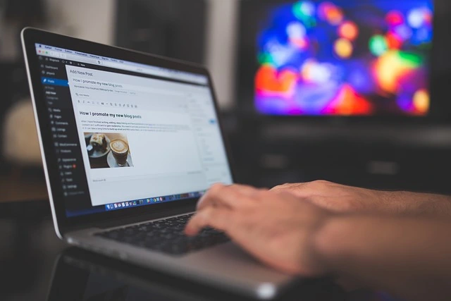A person using WordPress for blog posting